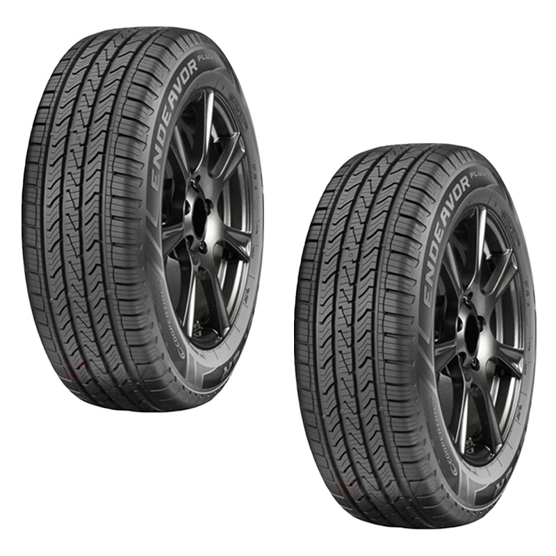 245/55 R19 Cooper Endeavor Plus 107H