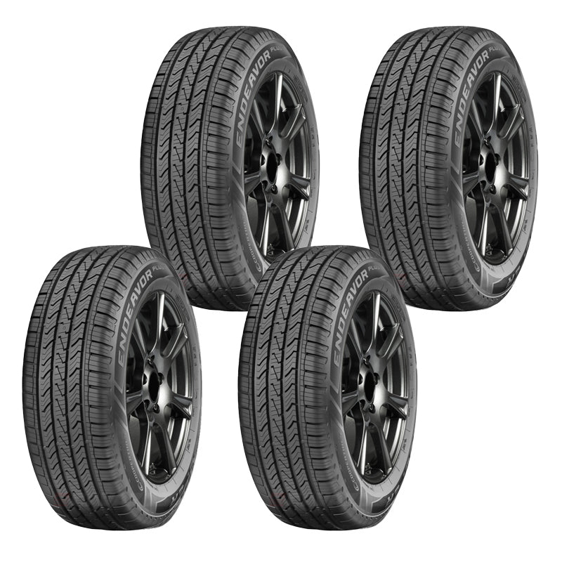 245/55 R19 Cooper Endeavor Plus 107H