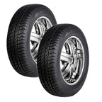 225/45 R17 Radburg Technic 94V